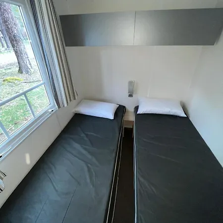 Cobijo Camping Vinuesa
