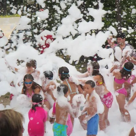 Cobijo Camping Vinuesa