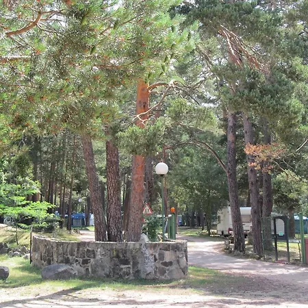 Cobijo