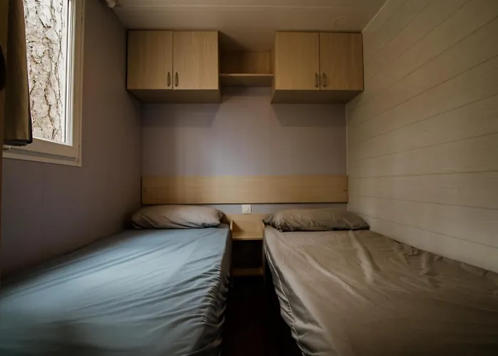 Cobijo * וינואסה